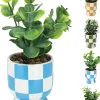 ohgreen Sfeermakers|Plant in keramische pot 18cm - 4ass