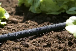 ohgreen Bewatering|Ecocheques|Poreuze druppelslang