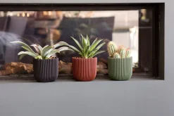 ohgreen Potten En Vazen|Pot bol groove 14x13