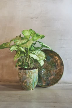 ohgreen Potten En Vazen|POT D44 ARRAY GRASGR