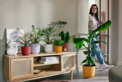 ohgreen Potten En Vazen|Ecocheques|Pot jazz rond 16cm amber geel