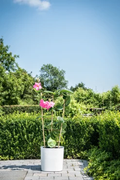 ohgreen Kunststof|Ecocheques|Pot Respect met reservoir25x25h21 wit