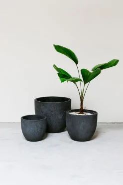 ohgreen Potten En Vazen|Pot rond crest