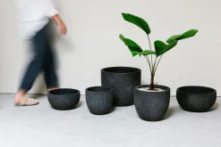 ohgreen Potten En Vazen|Pot rond crest