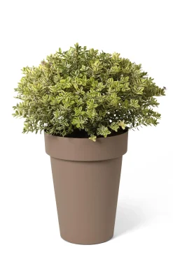 ohgreen Kunststof|Ecocheques|Pot rond happy hoog 40h 50 taupe