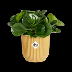 ohgreen Potten En Vazen|Ecocheques|Pot vibes fold 9cm botergeel