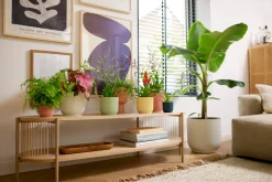 ohgreen Potten En Vazen|Ecocheques|Pot vibes fold 11cm botergeel