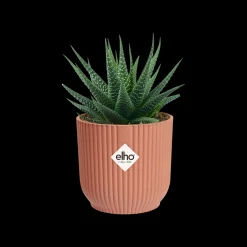 ohgreen Potten En Vazen|Ecocheques|Pot vibes fold 7cm delicate roze