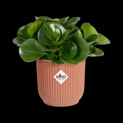 ohgreen Potten En Vazen|Ecocheques|Pot vibes fold 7cm delicate roze