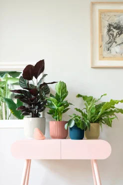 ohgreen Ecocheques|Potten En Vazen|Pot vibes fold 14cm delicate roze