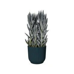 ohgreen Potten En Vazen|Ecocheques|Pot vibes fold 25cm diepblauw