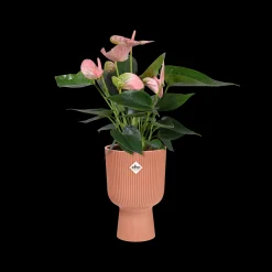 ohgreen Potten En Vazen|Ecocheques|Pot vibes fold coupe 14cm delicate roze