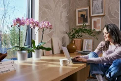 ohgreen Potten En Vazen|Ecocheques|Pot Vibes fold orchidee