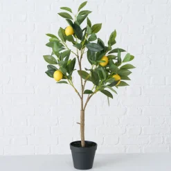 ohgreen Sfeermakers|Potplant Citroen