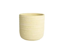 ohgreen Potten En Vazen|PRIMROSE Orch pot D14