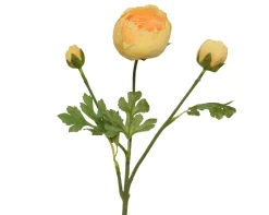 ohgreen Sfeermakers|Ranonkel