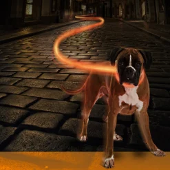 ohgreen Hals-En Leibanden|Ring flash licht usb nylon