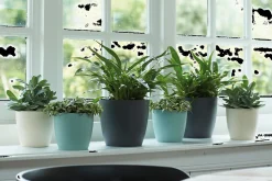 ohgreen Ecocheques|Potten En Vazen|Rond 25cm