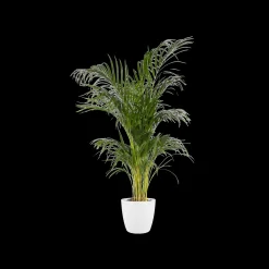 ohgreen Ecocheques|Potten En Vazen|Rond 18cm