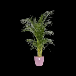 ohgreen Potten En Vazen|Ecocheques|Rond 16cm