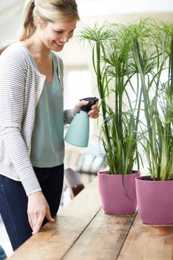 ohgreen Potten En Vazen|Ecocheques|Rond 16cm