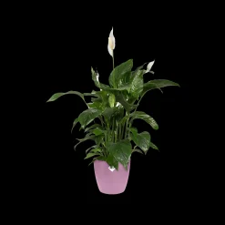 ohgreen Potten En Vazen|Ecocheques|Rond 16cm