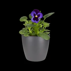 ohgreen Ecocheques|Potten En Vazen|Rond 10,5cm