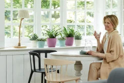 ohgreen Potten En Vazen|Ecocheques|Rond 18cm