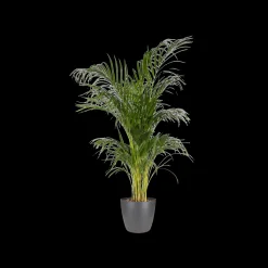 ohgreen Ecocheques|Potten En Vazen|Rond 16cm