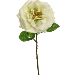 ohgreen Sfeermakers|Roos groen 45 cm