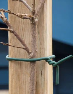 ohgreen Bind En Steun|Ecocheques|Rubber bindband d6mm x 5m