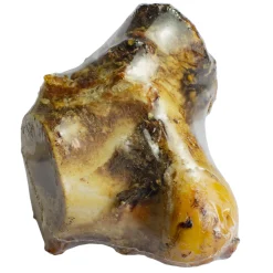 ohgreen Hond Voeding|Werelddierendag|Runderknokkel 1 st. (krimp) (met label)