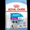 ohgreen Werelddierendag|Hond Voeding|Shn puppy giant 3.5kg