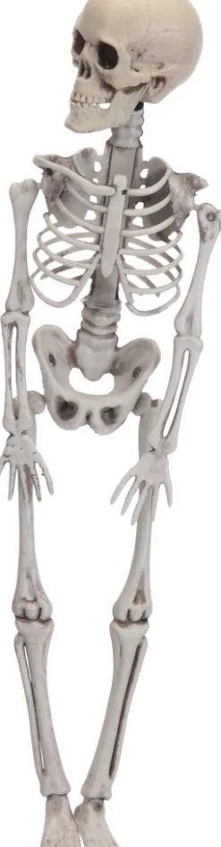 ohgreen Sfeermakers|Halloween|Skelet decoratie