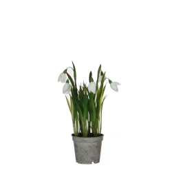 ohgreen Sfeermakers|Sneeuwklokje in witte plastic pot - h24xd8,5cm