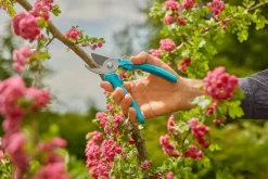 ohgreen Ecocheques|Handgereedschap|Snoeischaar EasyCut