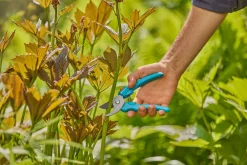 ohgreen Ecocheques|Handgereedschap|Snoeischaar EasyCut