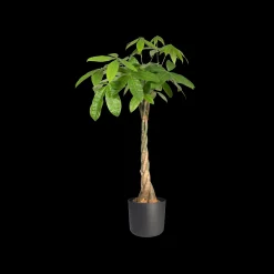 ohgreen Ecocheques|Potten En Vazen|SOFT ROND 16CM ANTRACIET