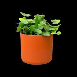 ohgreen Ecocheques|Potten En Vazen|SOFT ROND 16CM BRIQUE