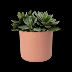 ohgreen Ecocheques|Potten En Vazen|SOFT ROND 14CM DELICAAT ROZE