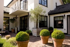 ohgreen Verlichting|Ecocheques|Solarspot Salamanca