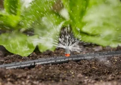 ohgreen Bewatering|Ecocheques|Startset voor bloembedden of moestuin
