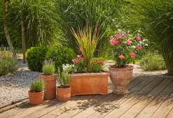 ohgreen Bewatering|Ecocheques|Startset voor terras of balkon