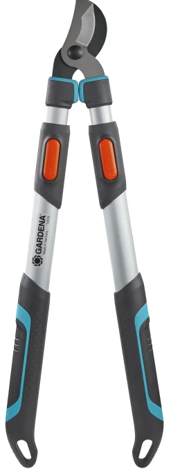 ohgreen Maak Je Tuin Lenteklaar|Handgereedschap|TAKKENSCHAAR TELECUT 650-900 B