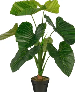 ohgreen Sfeermakers|Taro in pot