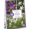 ohgreen Ecocheques|Bloembollen|Tas 'a bulb for every garden' met 50 bloembollen shade garden