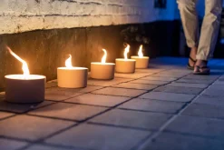 ohgreen Geuren|Tuinkaars in ronde terracotta schaal wit 11u - zwart