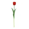 ohgreen Sfeermakers|Tulipa