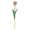 ohgreen Sfeermakers|Tulipa
