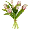 ohgreen Sfeermakers|Tulpenbundel creme/roze